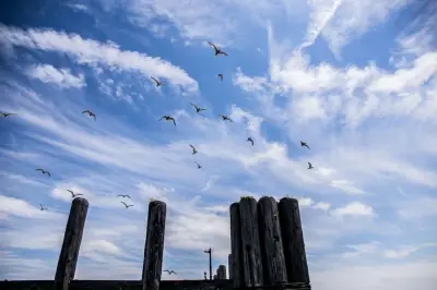 As Parks Get Shortchanged on City Budget, NYC Biodiversity Faces Risks, Report Says