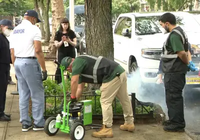 The latest front in NYC’s war on rats: Hundreds of thousands of tree beds