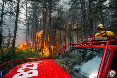 Pine Barrens fires highlight New Jersey's need to understand wildfire health risks