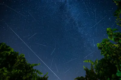 August brings the meteor shower NYC stargazers wait all year to see