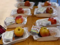 Mendocino County’s Ukiah Unified offering free summer meals