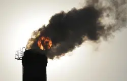 A wrongful-death lawsuit and the growing movement against ‘ecocide’