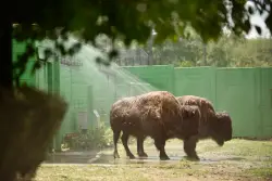 Early Addition: You still can't bring a gun to a zoo in New Jersey