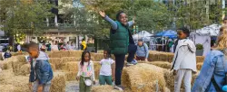 Maze Days to bring hay maze and fall fun to Dilworth Park