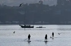 ‘Spirit of optimism’ as Richardson Bay restoration progresses