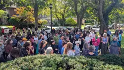 Federal agents in NY retreat in SUV with slashed tires as protesters shout 'Gestapo'
